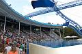 232. whale and dolphin theater